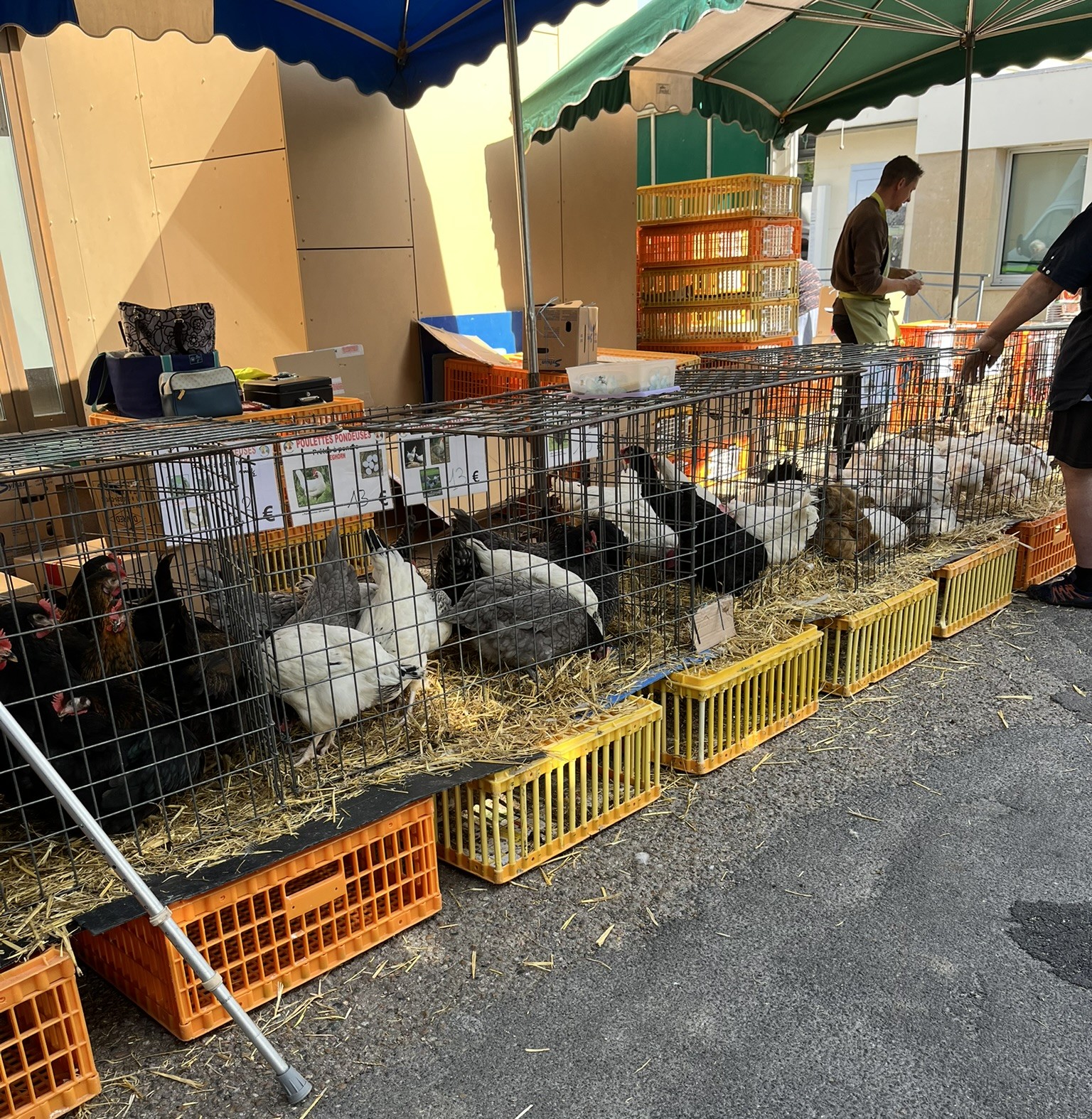 Marché du Lundi image 1
