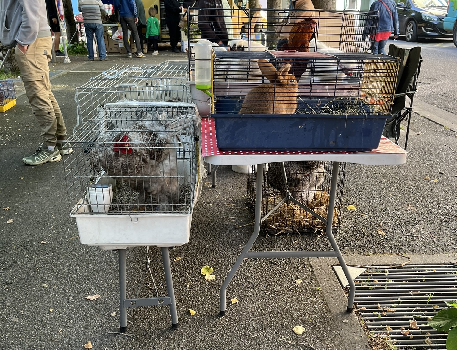 Marché du Lundi